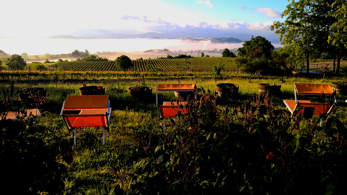 Cascina La Maddalena Bed & Wine in Rocca Grimalda, Italy